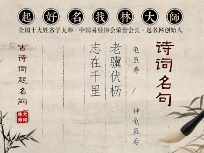 老驥伏櫪，志在千里 堅(jiān)韌精神的時代回響