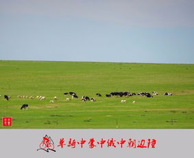 老驥伏櫪，志在千里 單騎穿越中蒙、中俄、中朝邊陲游記與攻略